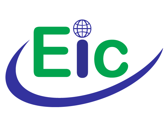 European International Consultancy